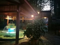 -木子山庄·安徽省老字号·中国炖锅宴