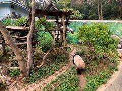 -柳州市动物园