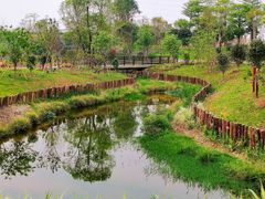 -王借岗森林公园