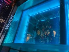 -重庆解放碑威斯汀酒店