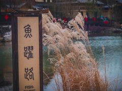 -诗经里
