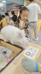 -神奇动物撸宠馆·羊驼·小浣熊·异宠(豫园店)