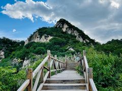 -大岭沟猕猴桃谷风景区