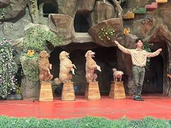 -长鹿旅游休博园