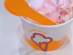 -iceason爱茜茜里·意大利健康冰淇淋(骑龙巷店)