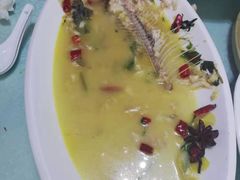 虫虫鱼-掌勺人鱼馆(朝阳镇店)