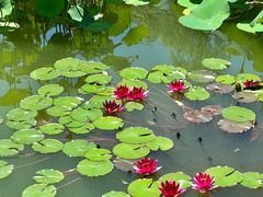 -国家植物园南园