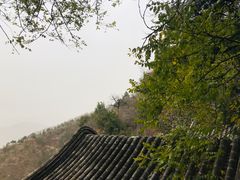-北京鹫峰国家森林公园
