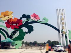 -洛阳国花园