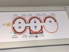 -达拉斯 沃斯堡国际机场