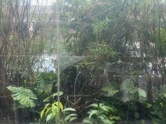 -四海酒家生态粤菜