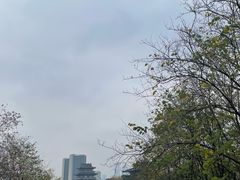 -海珠湖公园