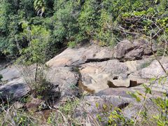 -广州白江湖森林公园