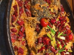 -老板恋上鱼(印象城店)