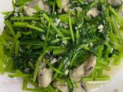 -林之六八·6886大连老菜馆