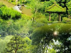 -云溪植物园
