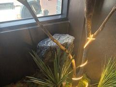 -杏花村水席楼·洛阳水席(老城十字街店)