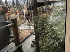 -慢丽江·云南野生菌土鸡锅(西山店)