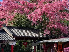 -风云岭森林公园