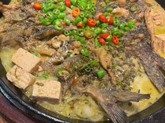 -老板恋上鱼(印象城店)