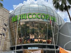 -海底捞火锅(龙岗星河COCO Park店)