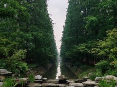 -东平国家森林公园