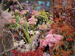 -淮国旧H22·中古店