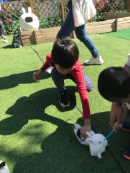 -萌宠亲子动物乐园(槐房万达店)