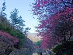 -温州永嘉书院