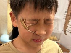 -酷以爬仙阁实体爬宠店·守宫·蜥蜴·专业繁育