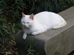 -杭州上天竺法喜讲寺