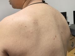 -深圳湾木棉花酒店