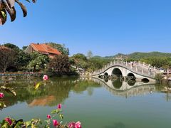 -大屏嶂森林公园