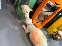 -顺德南宏海立方海洋公园