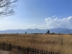 -野鸭湖国家湿地公园