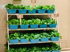 -花中城(清泰街店)