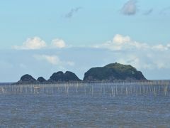 -北岐滩涂