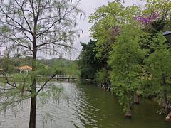 -鹿鸣酒家(越秀店)