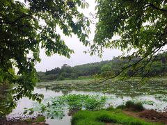 -番禺大夫山森林公园