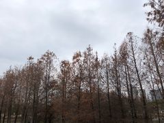 -厦门园林博览苑
