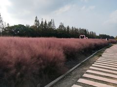 -嘉北郊野公园