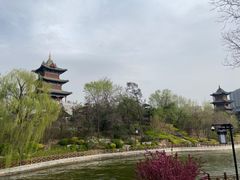 -迎泽公园