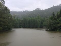 -滴水岩森林公园
