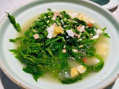 -大榕树下顺德菜(融创茂店)