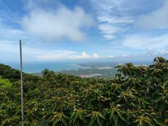 -海南铜鼓岭景区