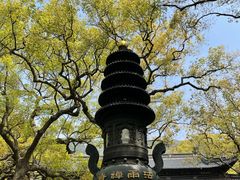 -普陀山风景名胜区-法雨禅寺