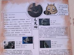 -青藏高原野生动物园