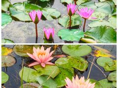 -露天矿生态公园