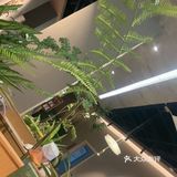 野生菌香浓，这家店选优云南！