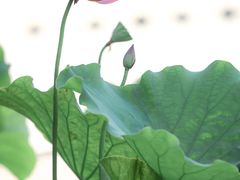 -北山街历史文化街区